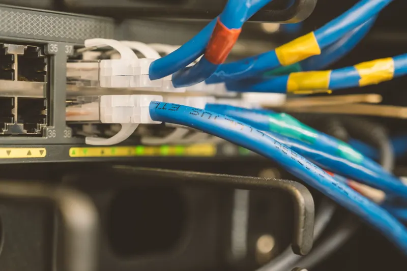 Network cables in a patch panel
