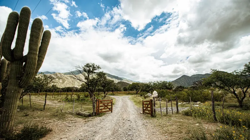 Ranch entrance gate